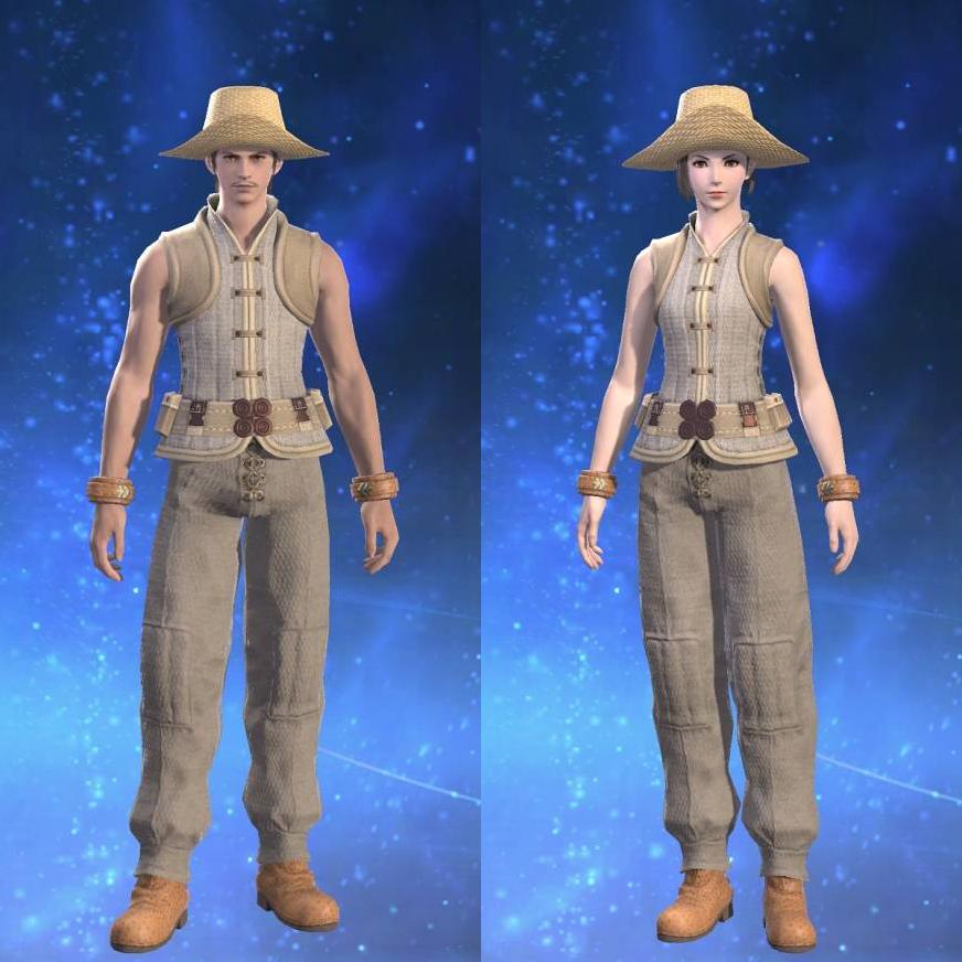 Amateur's Doublet Vest's gearset image.