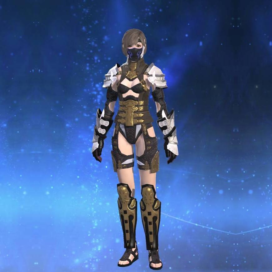 War Harness's gearset image female.