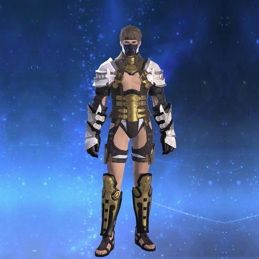 War Harness's gearset image male.