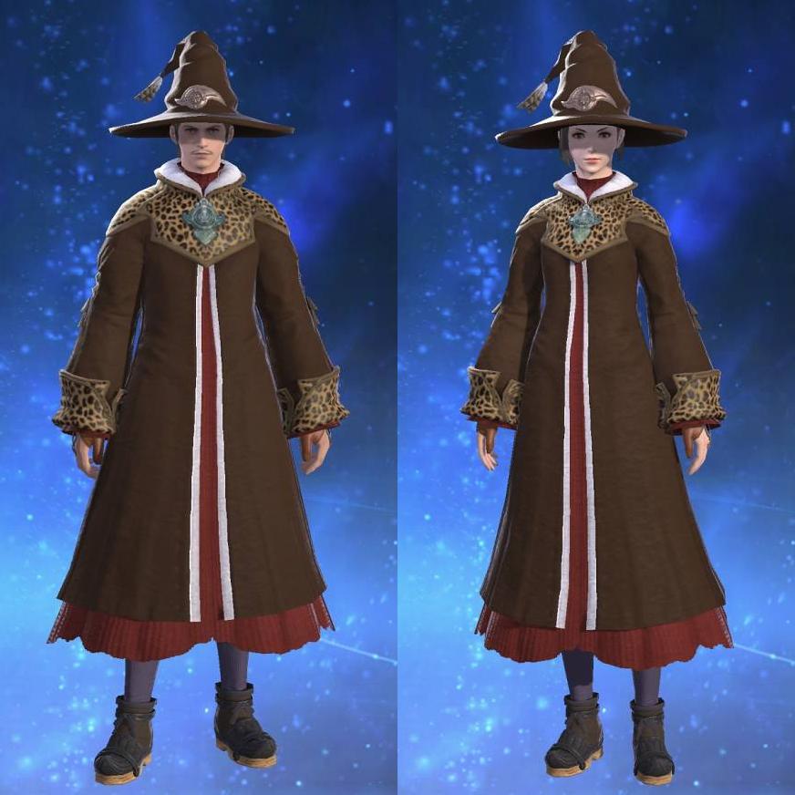 Warlock's Robe's gearset image.