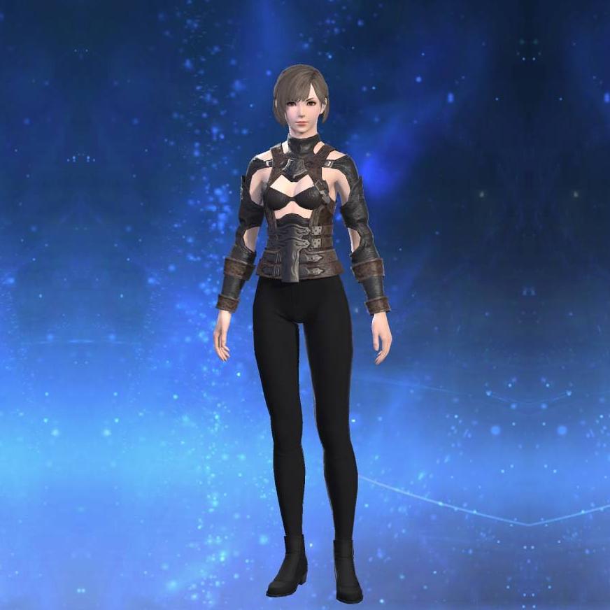 Flame Private's Harness's gearset image female.