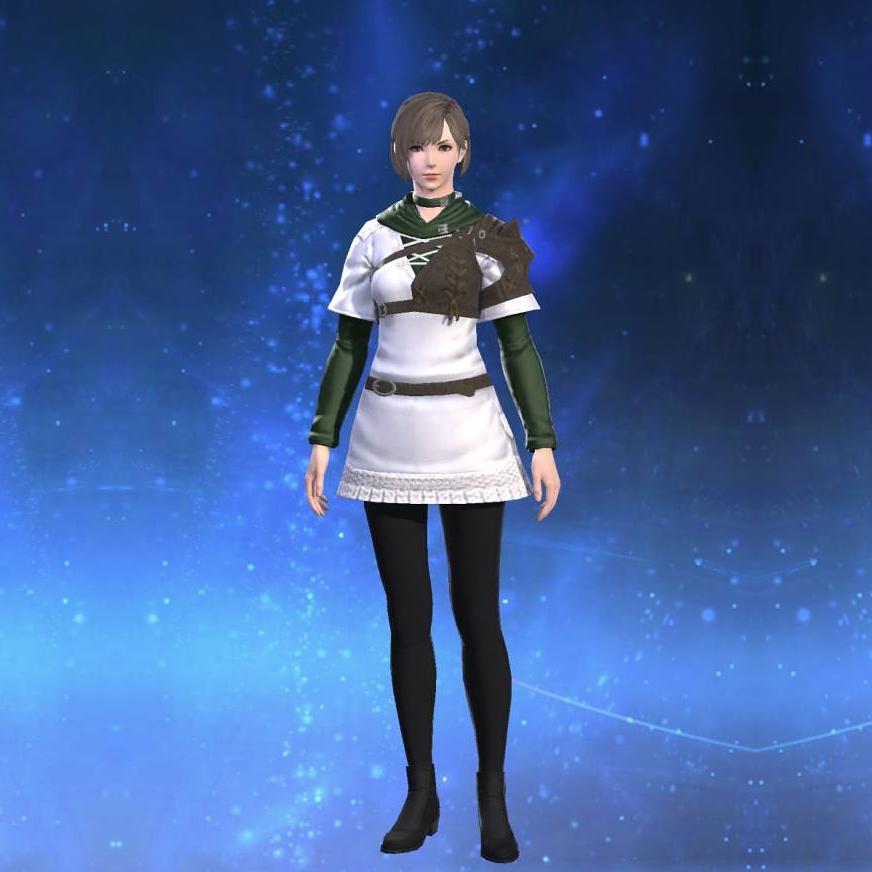 Explorer's Tunic's gearset image female.