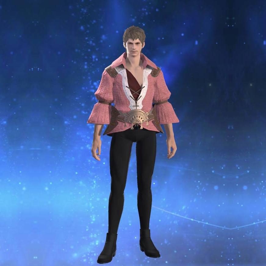 カスタムシャツ's gearset image male.