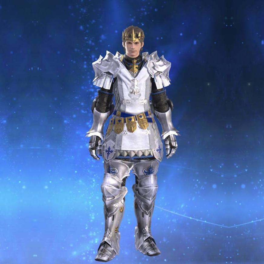 Augmented Gallant Surcoat's gearset image male.