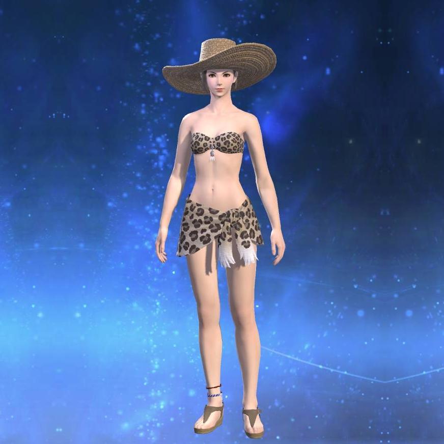 Coeurl Beach Halter's gearset image.
