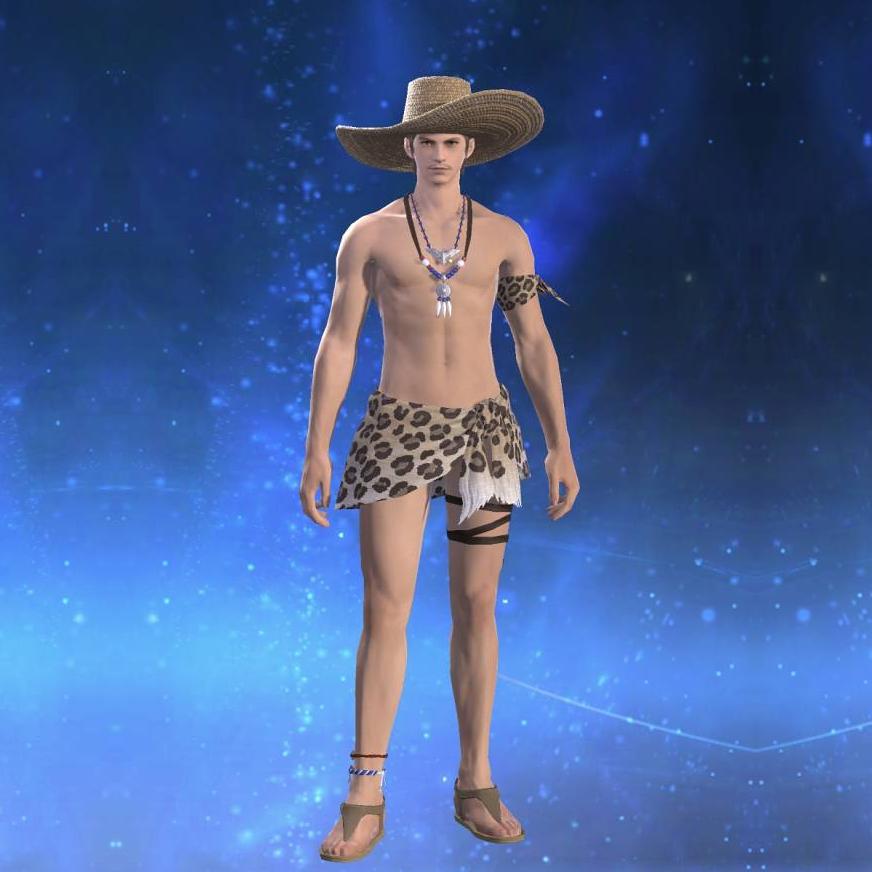 Coeurl Talisman's gearset image.