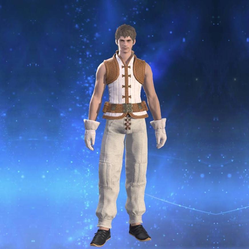 Cotton Doublet Vest of Gathering's gearset image male.