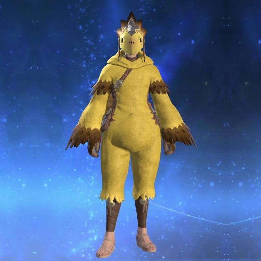 Chocobo Suit's gearset image male.
