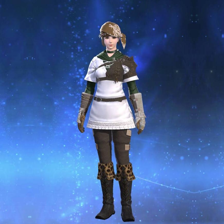 Toxotes Tunic's gearset image female.