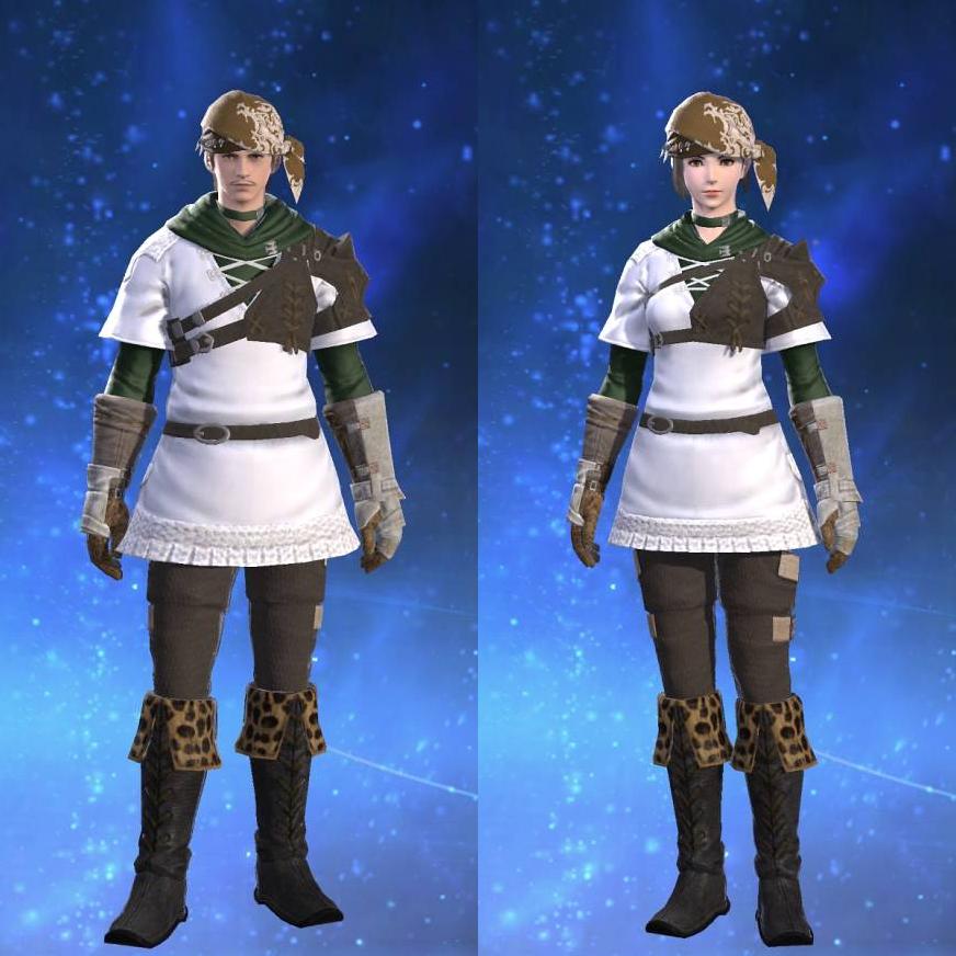 Toxotes Tunic's gearset image.