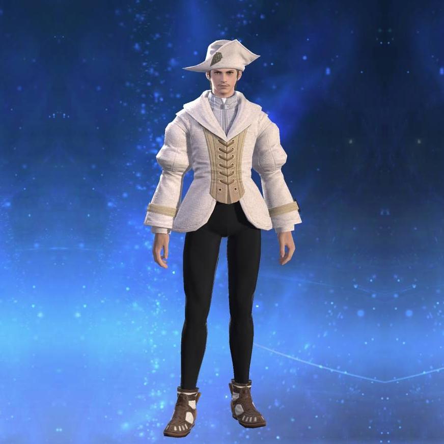 Plundered Bliaud's gearset image male.
