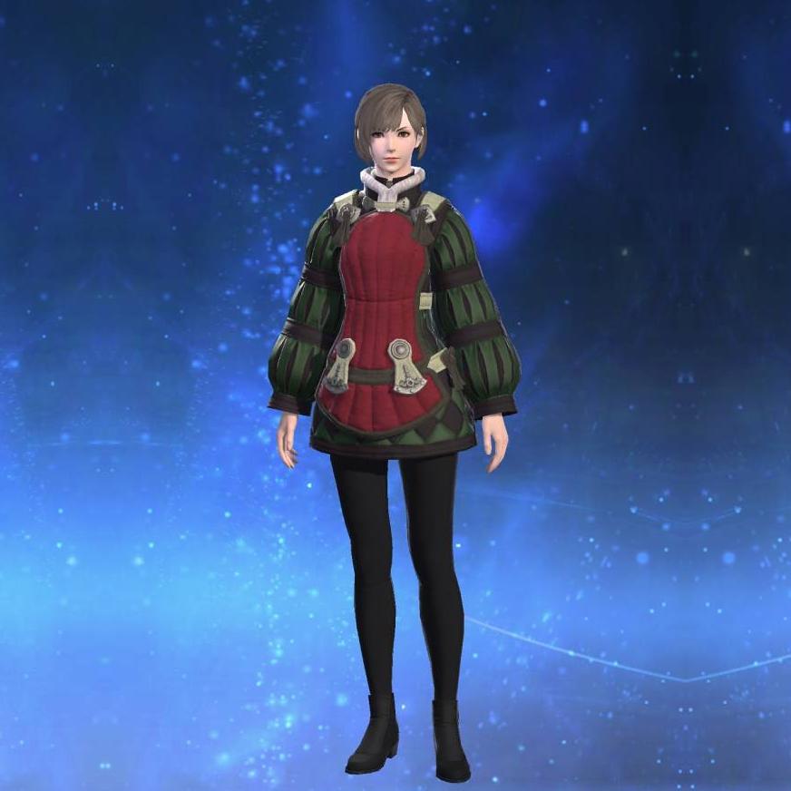 Veteran's Acton's gearset image female.