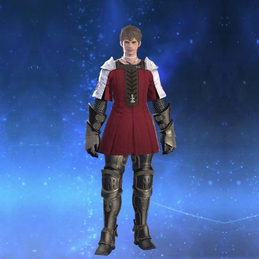 ホプリタイアタイア's gearset image male.