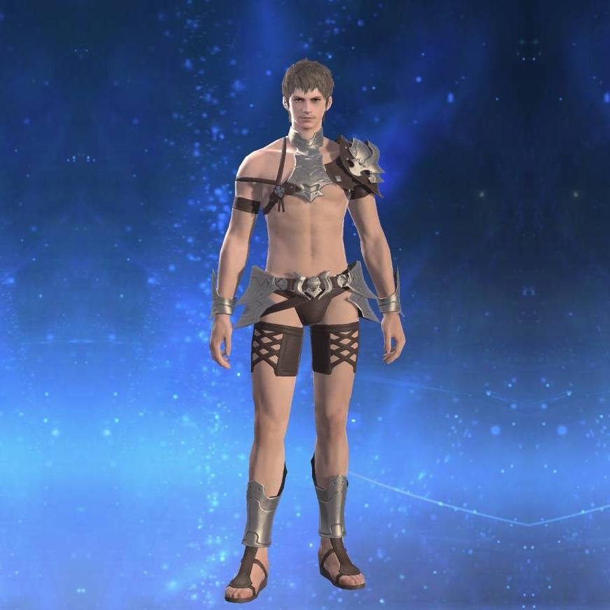 Light Steel Galerus's gearset image male.