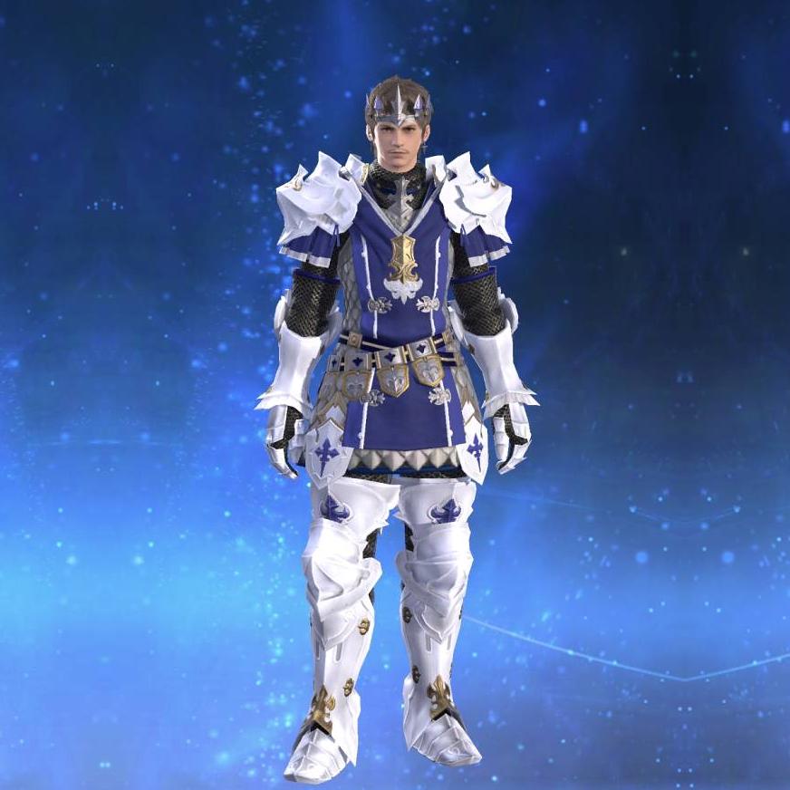 Valor Surcoat's gearset image male.