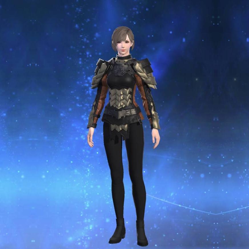Vintage Scale Mail's gearset image female.