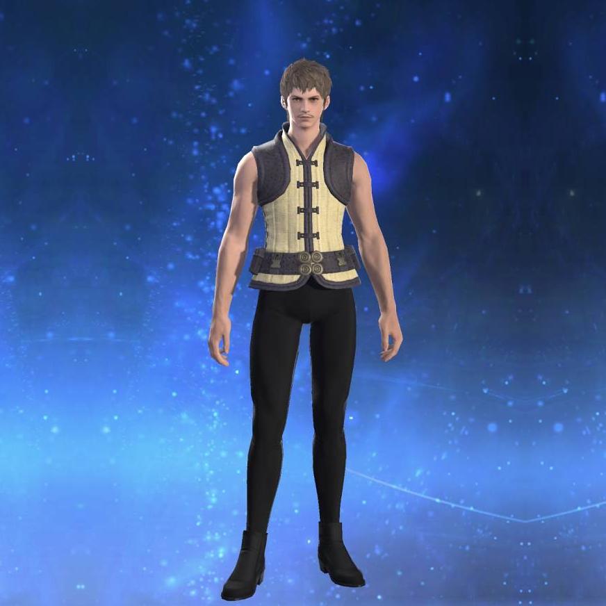 ヴィンテージダブレットベスト's gearset image male.