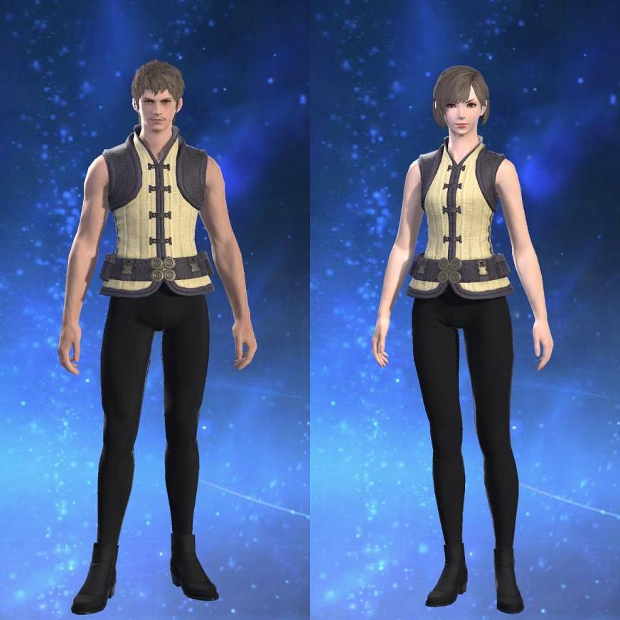 Vintage Doublet Vest's gearset image.