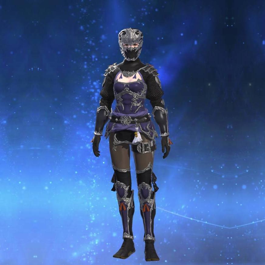 Ninja Chainmail's gearset image female.