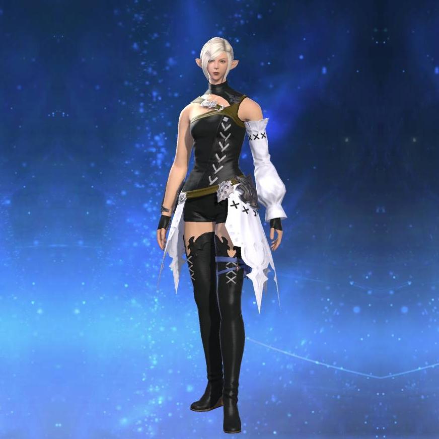 Elezen Gown's gearset image.