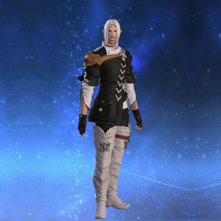Elezen Surcoat's gearset image.