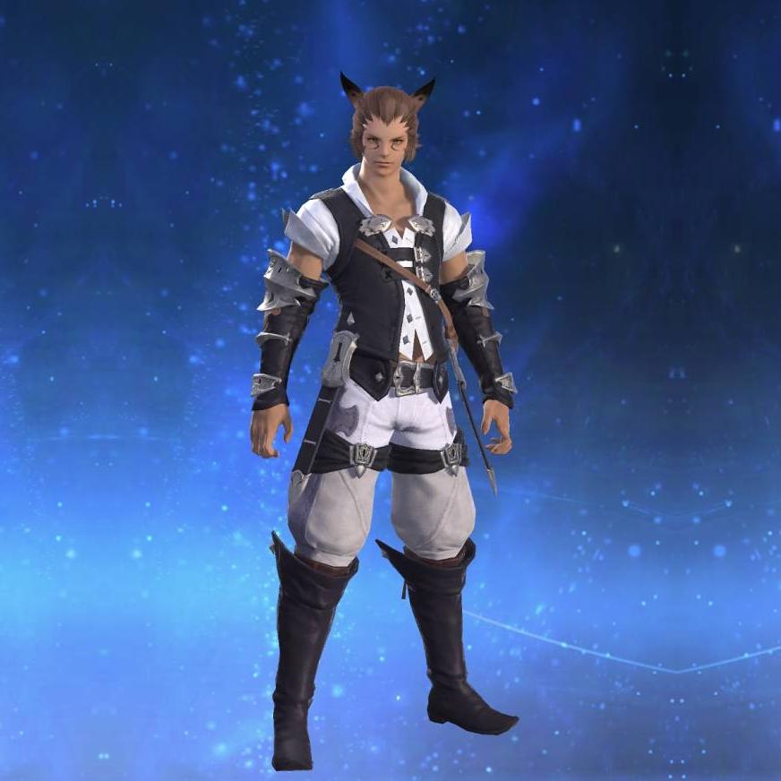 Miqo'te Vest's gearset image.