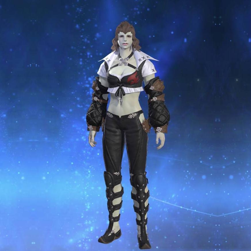 Roegadyn Bodice's gearset image.