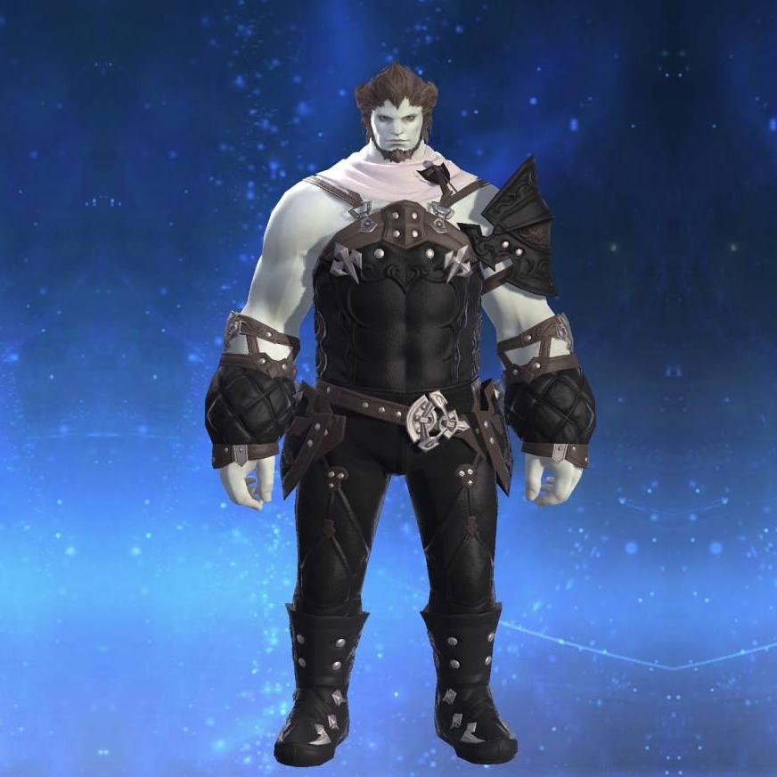 Roegadyn Harness's gearset image.