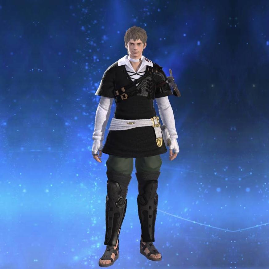 Scion Thief's Tunic's gearset image.