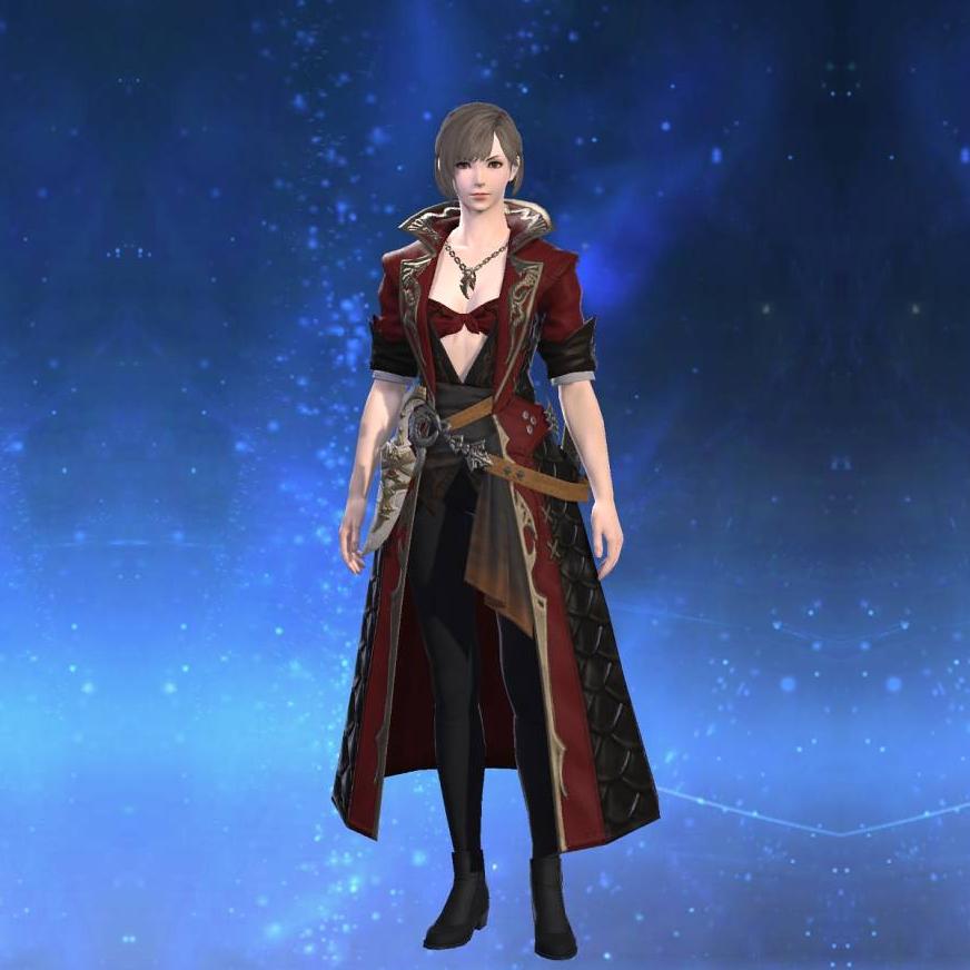 Chivalric Coat of Striking's gearset image female.