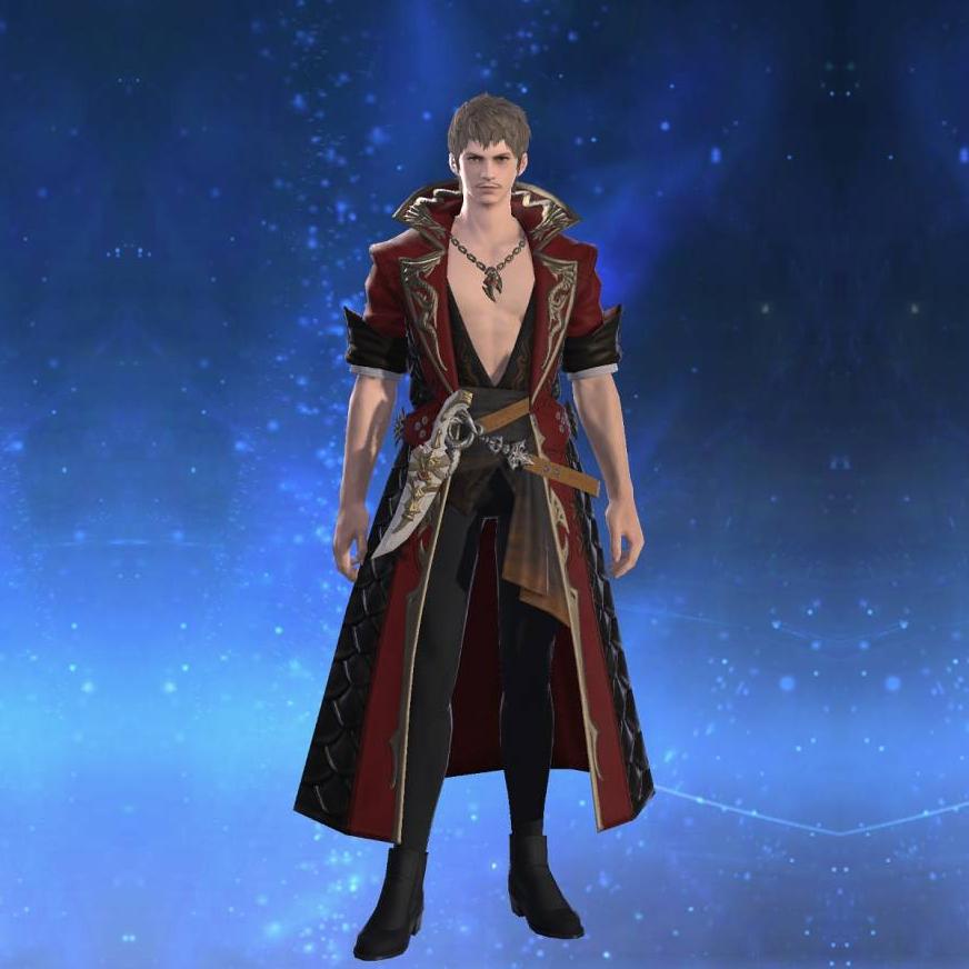Chivalric Coat of Striking's gearset image male.