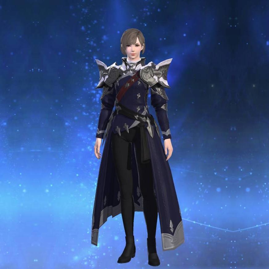 Chivalric Coat of Maiming's gearset image female.