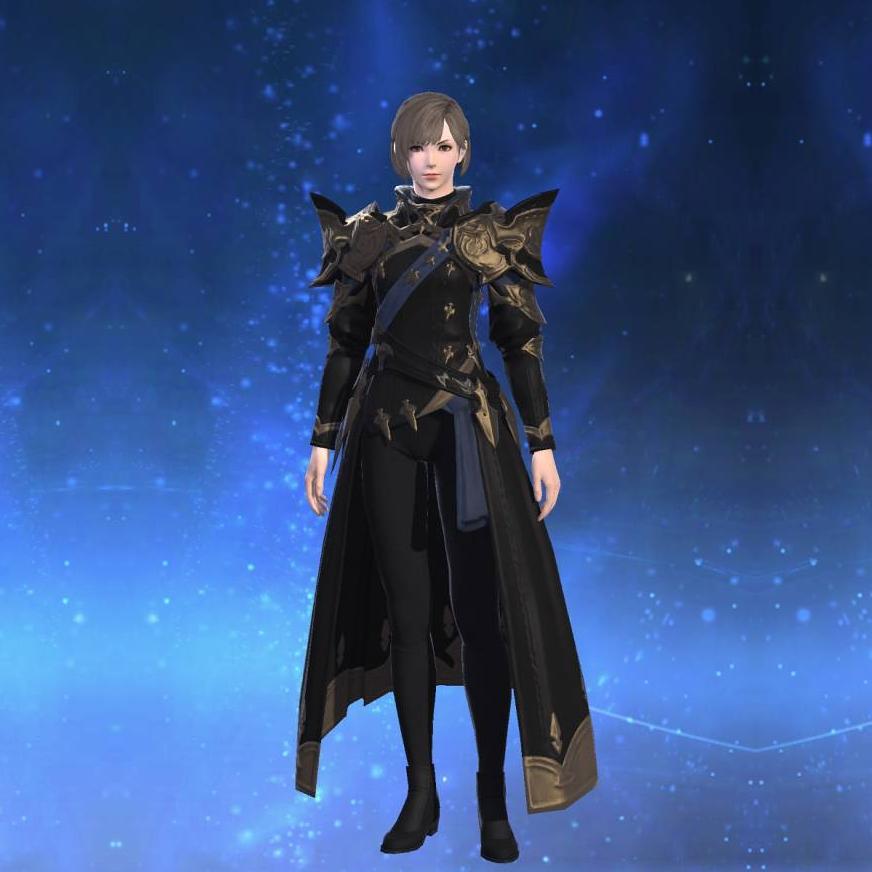 Chivalric Coat of Fending's gearset image female.