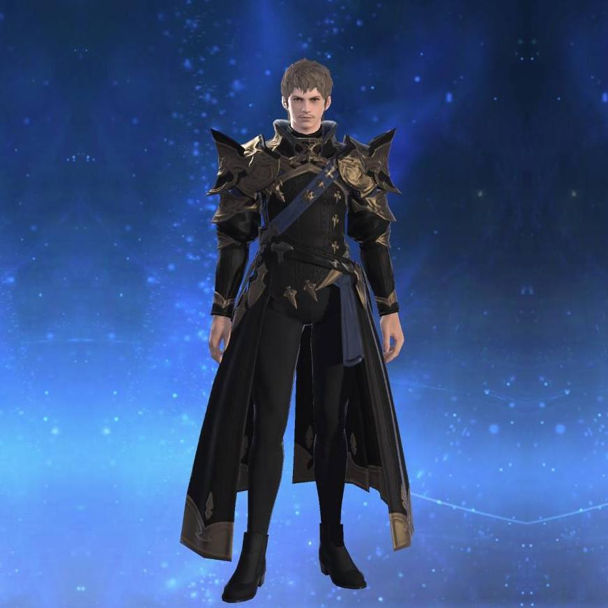 Chivalric Coat of Fending's gearset image male.
