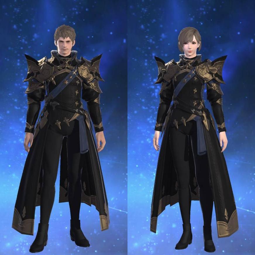 Chivalric Coat of Fending's gearset image.