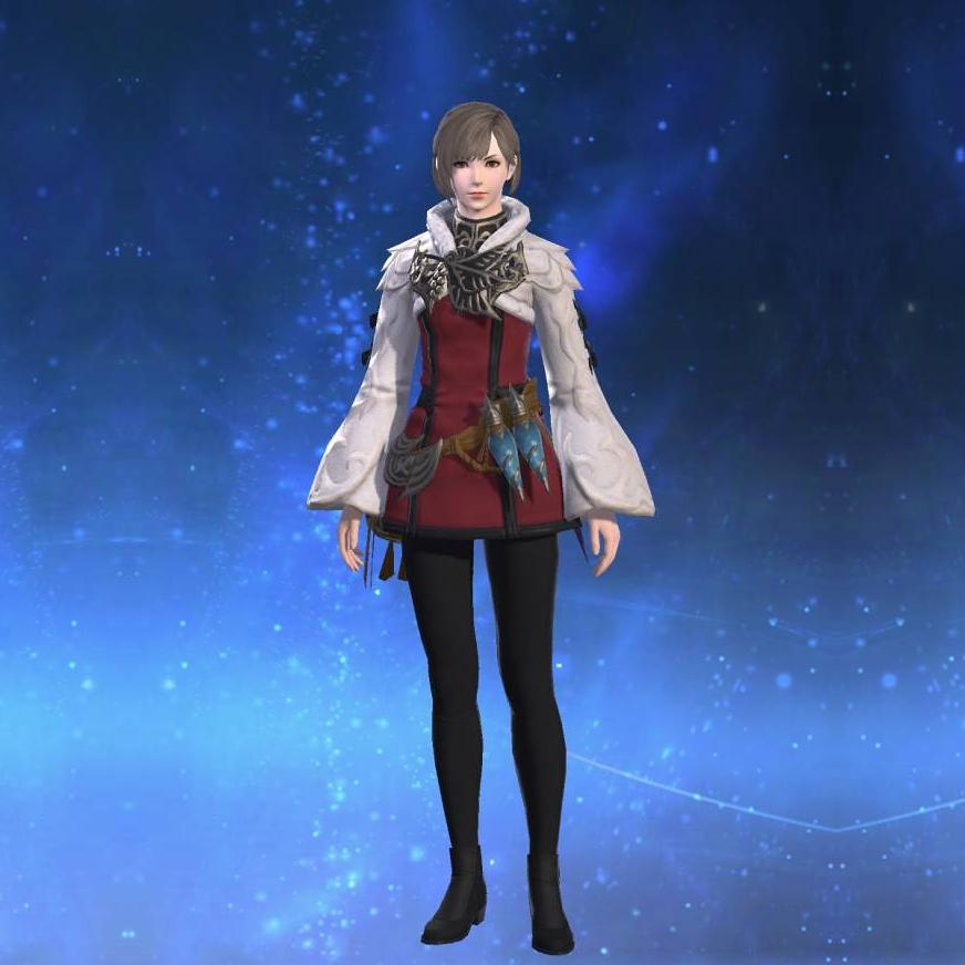 Chivalric Doublet of Healing's gearset image female.