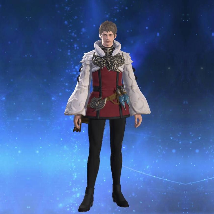 Chivalric Doublet of Healing's gearset image male.