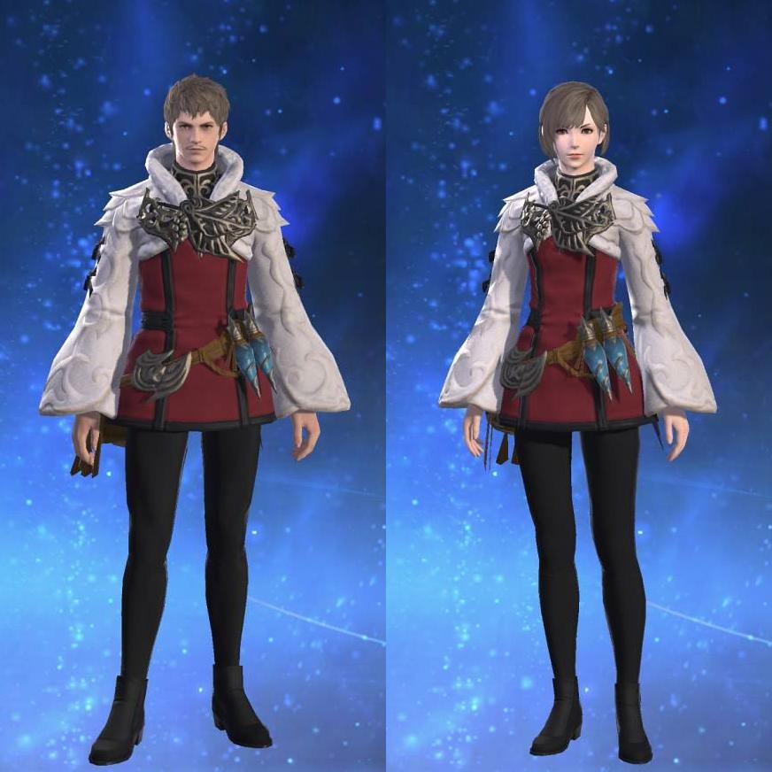 Chivalric Doublet of Healing's gearset image.