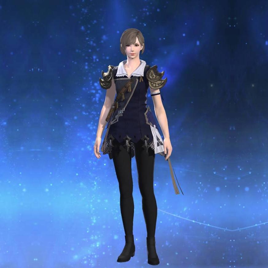 Ornate Star Velvet Tabard of Scouting's gearset image female.