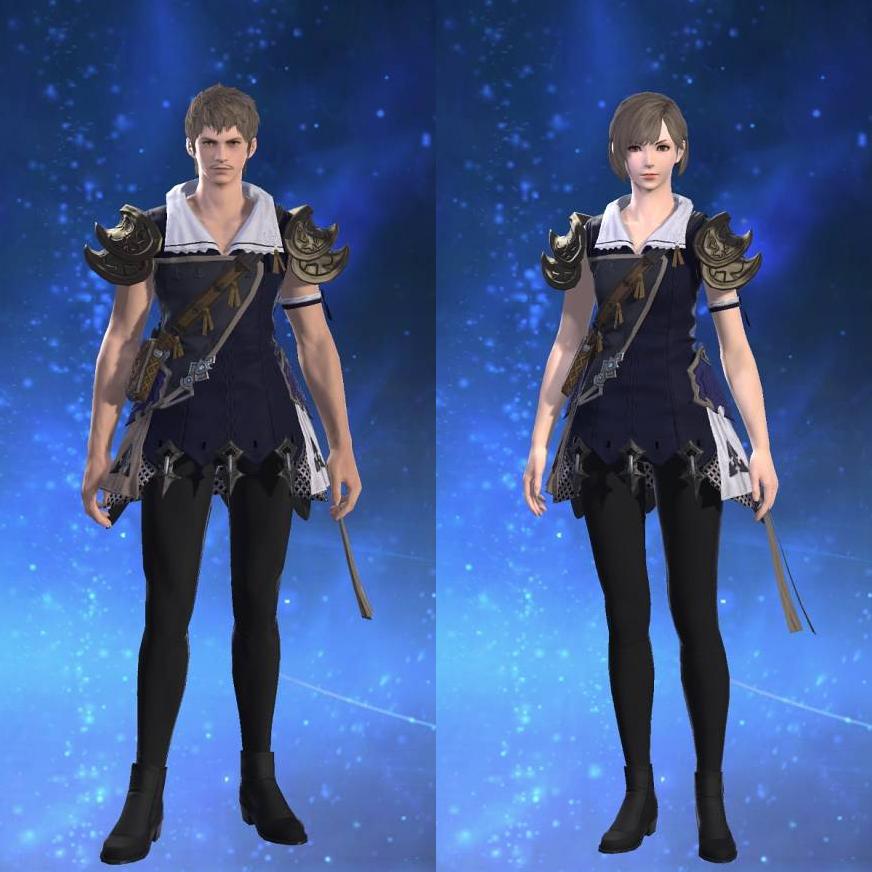 Ornate Star Velvet Tabard of Scouting's gearset image.
