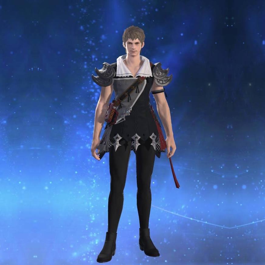 Ornate Star Velvet Tabard of Striking's gearset image male.