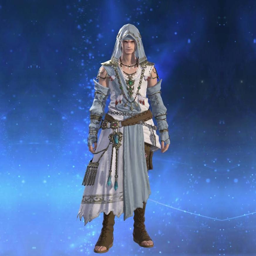 スタービロード・ヒーラーアタイア's gearset image male.