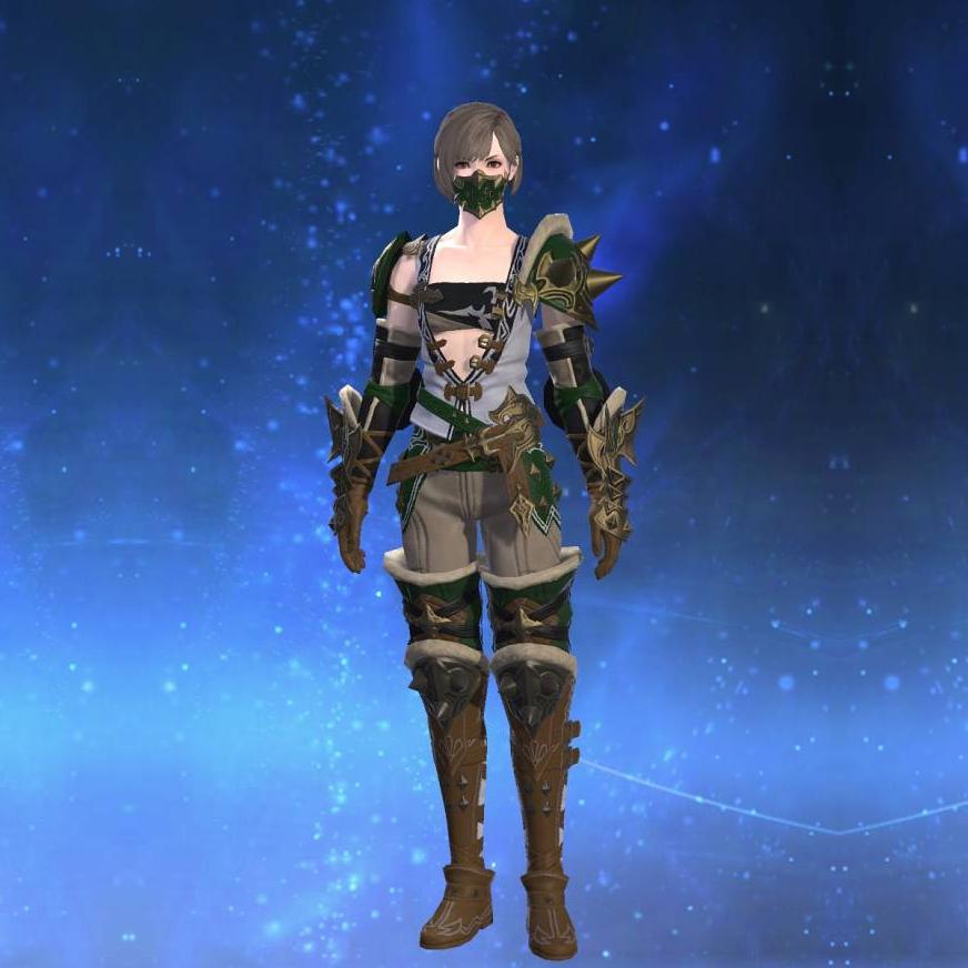 Dhalmelskin Jacket of Aiming's gearset image female.