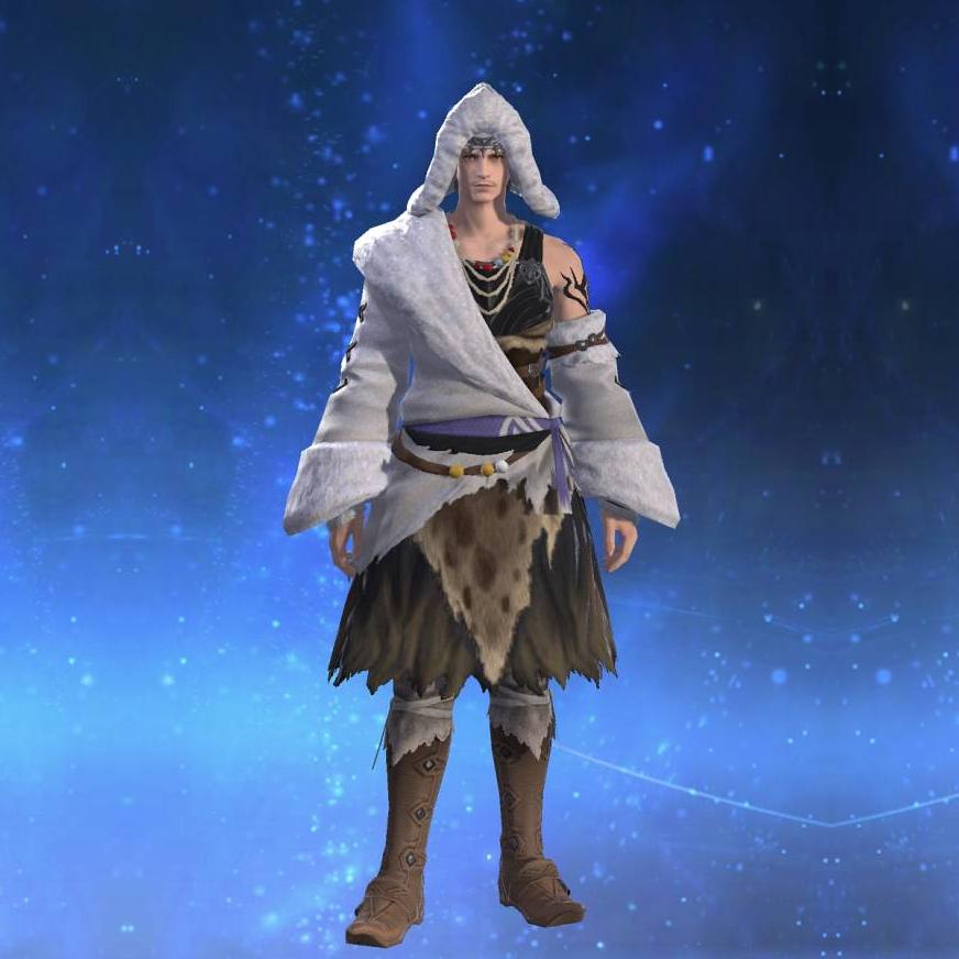 ドルイドヒーラー・アタイア's gearset image male.
