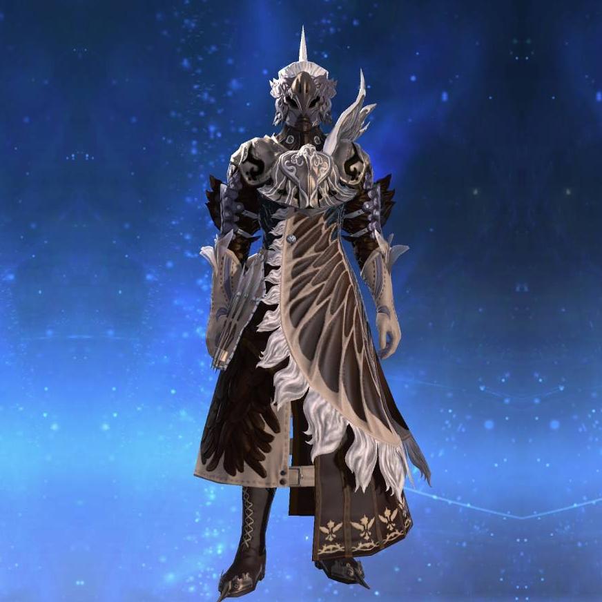 Parrotbeak Coat's gearset image male.