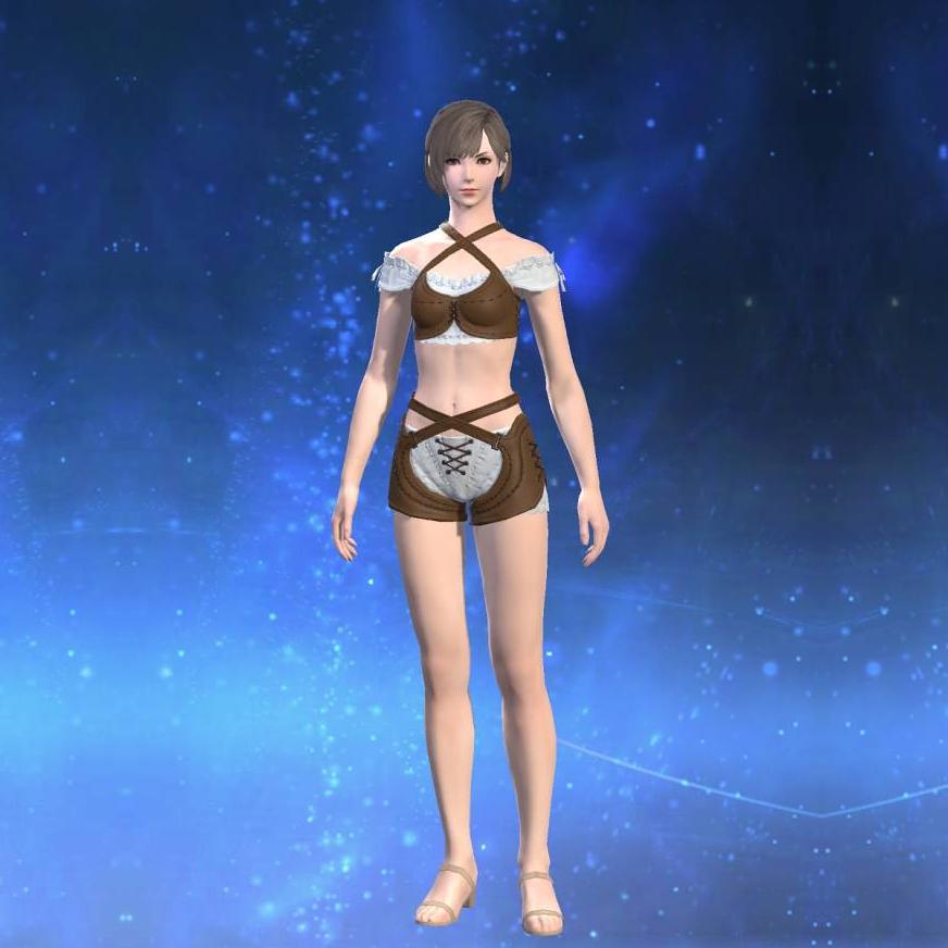 ヒッポグリフブレストガード's gearset image female.