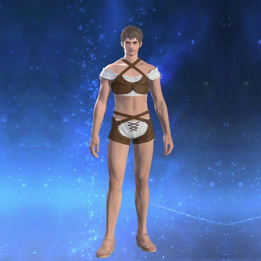 ヒッポグリフブレストガード's gearset image male.