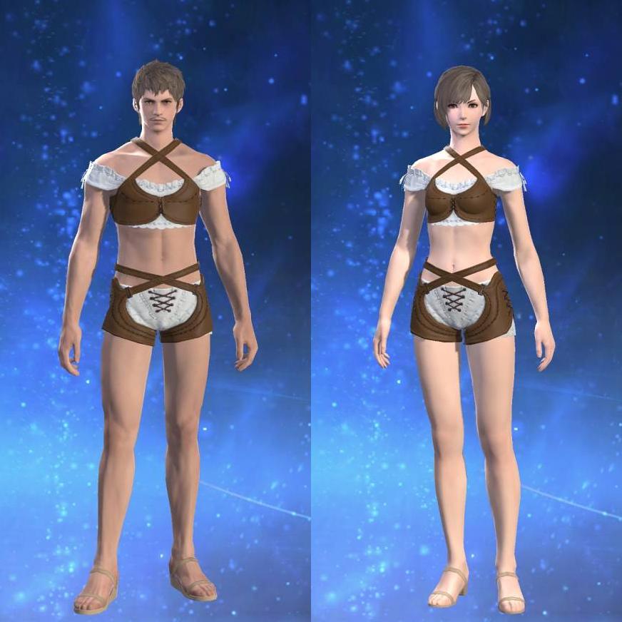 ヒッポグリフブレストガード's gearset image.