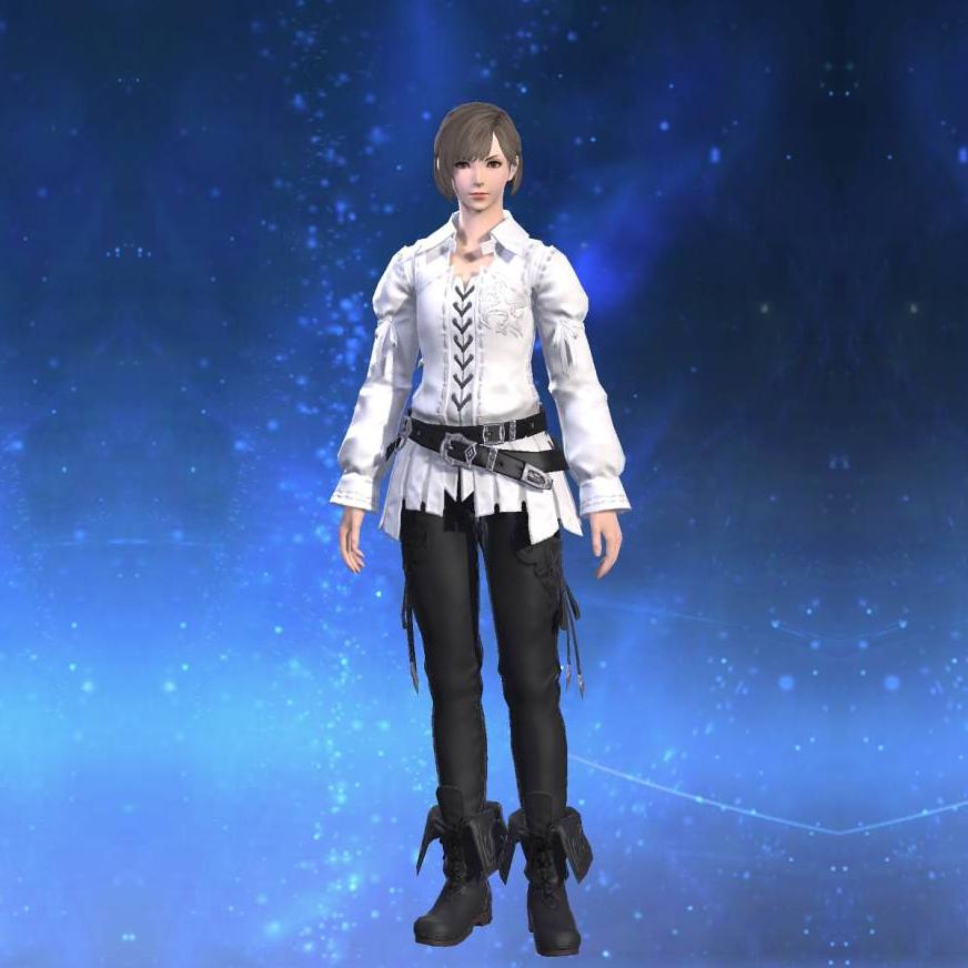 ファルコナーシャツ's gearset image female.