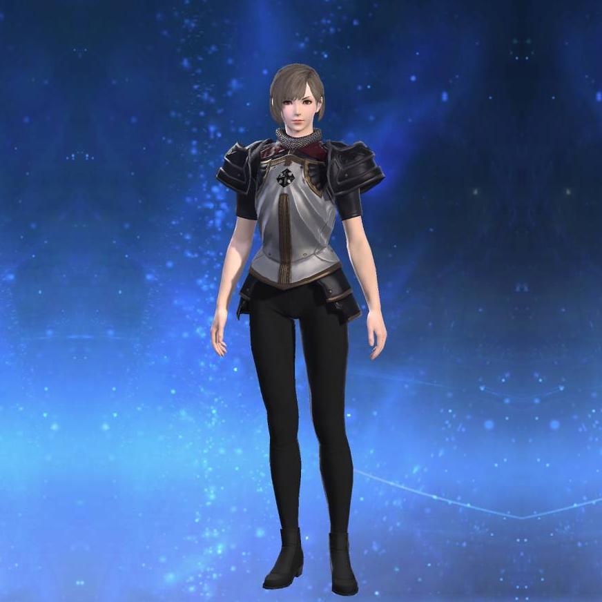 Ornate Heavy Metal Cuirass of Fending's gearset image female.